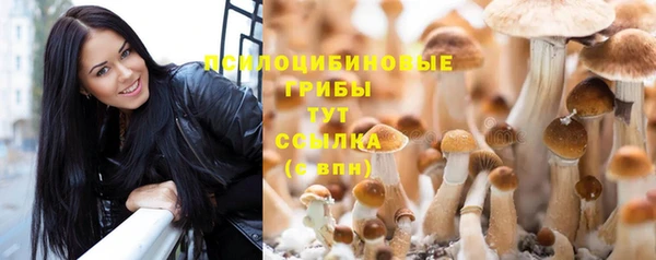 гидропоника Балахна