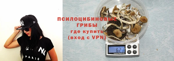 гидропоника Балахна