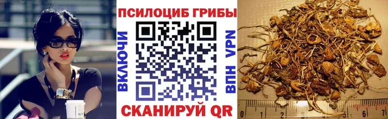 Псилоцибиновые грибы Magic Shrooms  Борисоглебск 